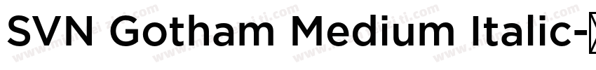 SVN Gotham Medium Italic字体转换